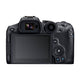 12696640-BACK