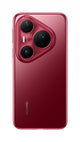 13956239-BACK