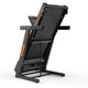 13162480-BACK