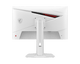 14005574-BACK