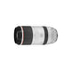 CANON 佳能 RF 100-500mm f/4.5-7.1L IS USM 鏡頭