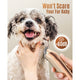 Oneisall Pet Clippers sets DTJ-002
