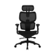 Zenox Shiho Series Office Chair