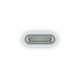 APPLE USB-C to Apple Pencil Adapter