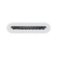 APPLE USB-C to SD Card Reader