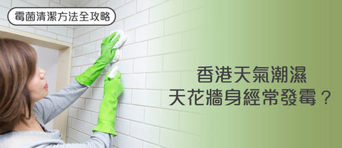 【香港天氣潮濕天花牆身經常發霉？】霉菌清潔方法全攻略
