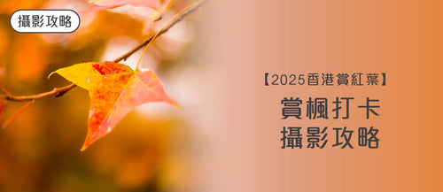 【2025 香港賞紅葉】賞楓打卡攻略＋攝影器材推薦
