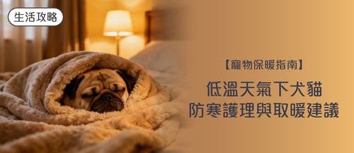 【2026 寵物保暖指南】低溫天氣下犬貓防寒護理與取暖建議
