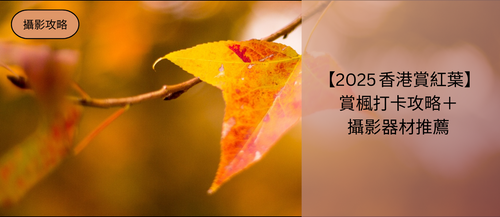 【2025 香港賞紅葉】賞楓打卡攻略＋攝影器材推薦