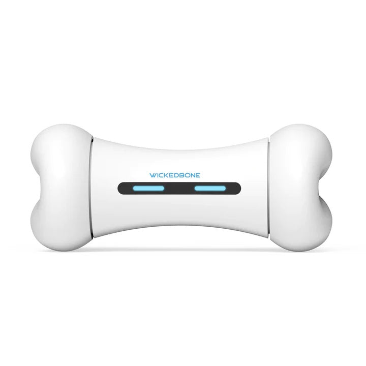 Interactive Bone Dog Toy