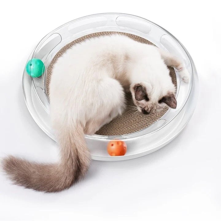 Pet Toys