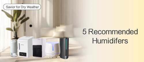 2025 Humidifier Buying Guide and Recommendations (with Purchase Links)  