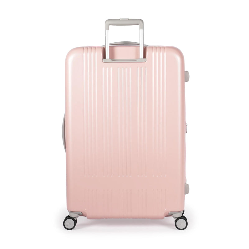 13915242-BACK