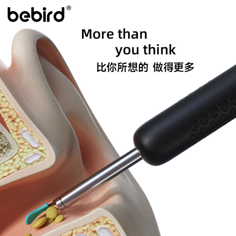 13533244-BACK