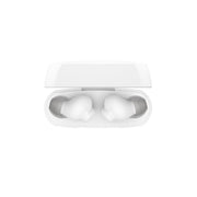 BELKIN SOUNDFORM RHYTHM ANC NOISE-CANCELLING EARBUDS