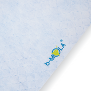 B-mola AF250-S 除醛靜電濾網