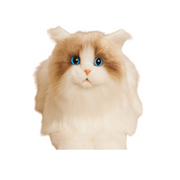 Chongker MateCat Interactive Cat