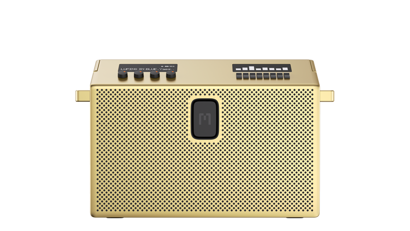 13171968-BACK
