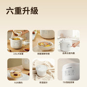 DAEWOO DY-DZ08 Electric Stewing Pot (2.5L)