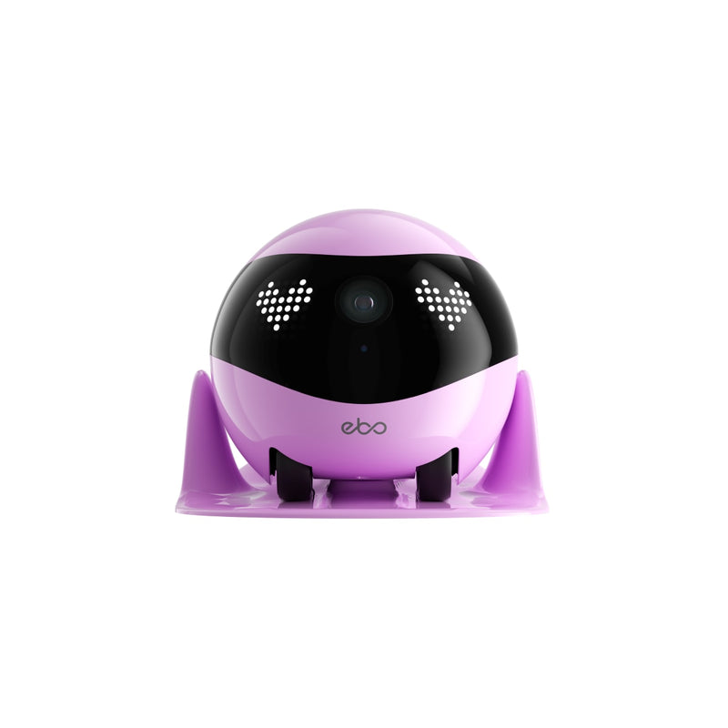 13895131-FRONT