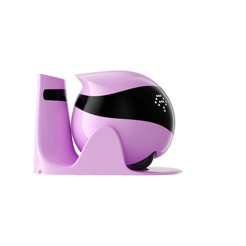 13895131-SIDE