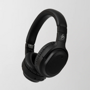 Final UX3000 SV 耳機