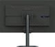 14162545-BACK