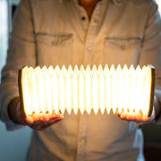 Gingko Design 智能手風琴燈