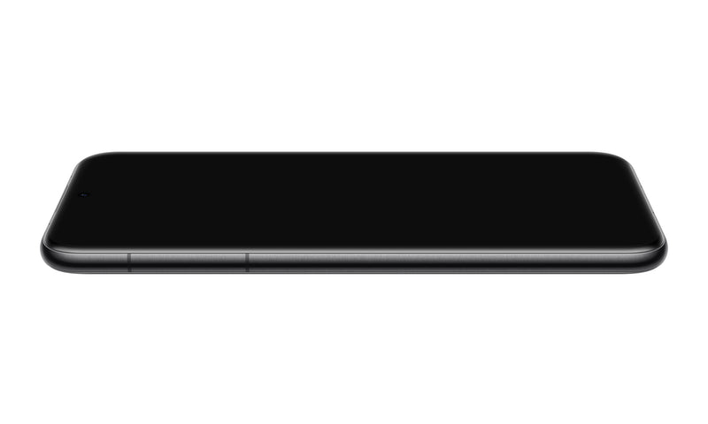 13956247-BACK