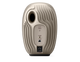 14164532-BACK
