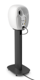 14164559-BACK