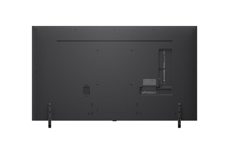 13920164-BACK