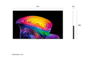 LG 樂金 OLED evo AI C6 4K 智能電視 2026