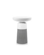 LG 樂金 AF20SOUND PuriCare™ Aerospeaker 空氣清新茶几