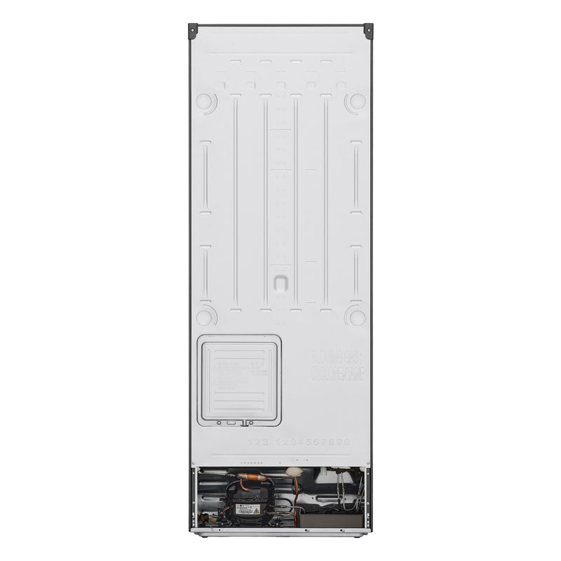 12794881-BACK