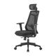 14158706-BACK