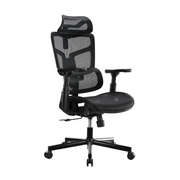 LUMIVIDA CH10-10 Ergonomic Office Mesh Chair