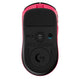 14197422-BACK