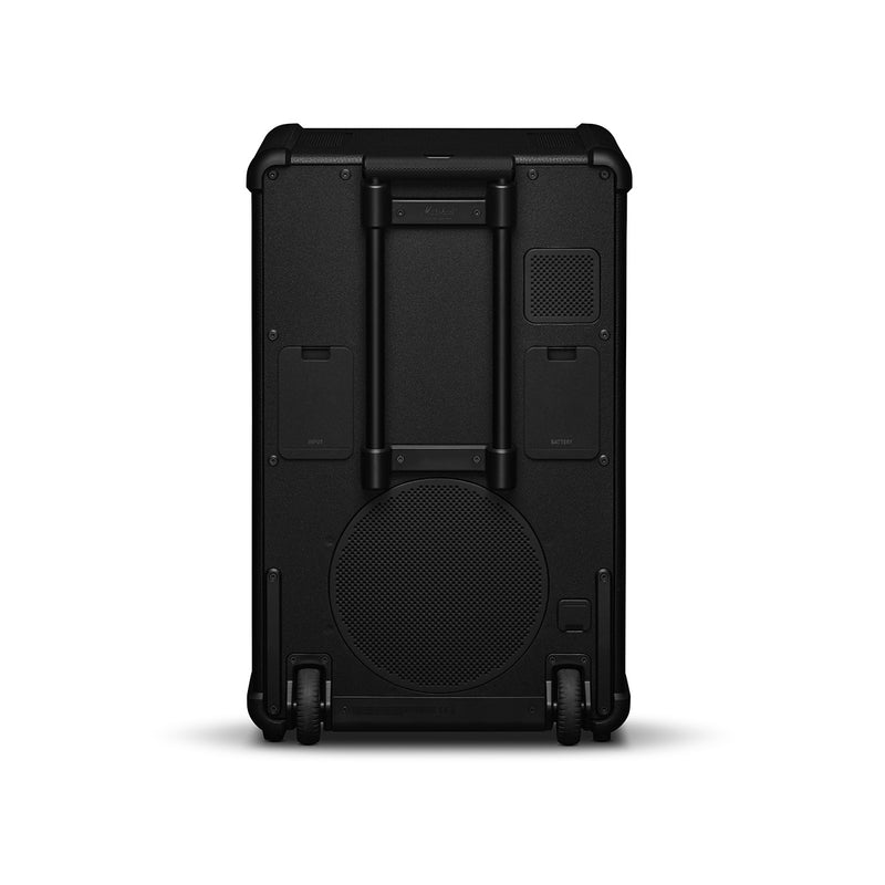 13997719-BACK