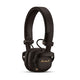 14195671-BACK