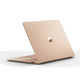 14135985-BACK