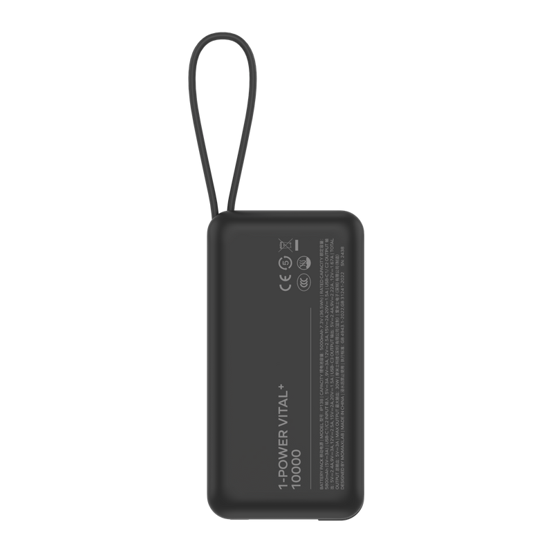 13961661-BACK