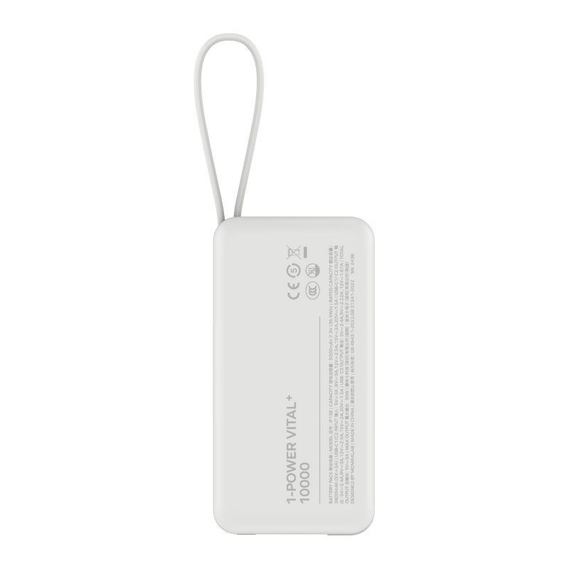 13961644-BACK