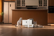 Neakasa Riko Smart Wet Food Feeder