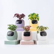 PLANTSIO Ivy Gen 2 智能盆栽