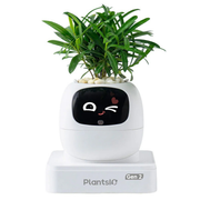 PLANTSIO Ivy Gen 2 智能盆栽