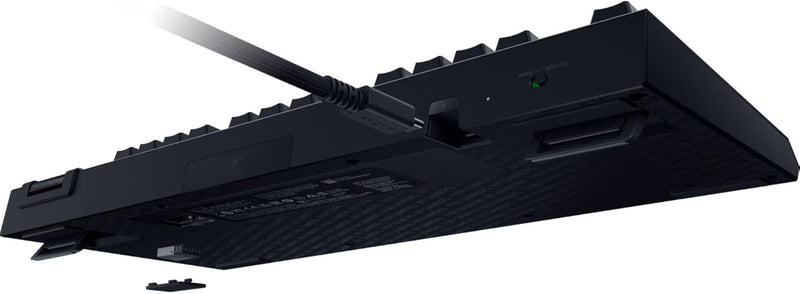 13974824-BACK