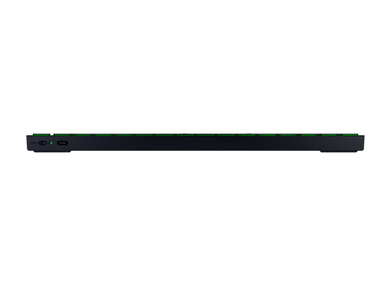 13947519-BACK
