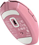 14163628-BACK