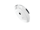 14163636-BACK